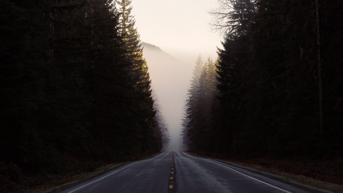 Road through a foggy forest