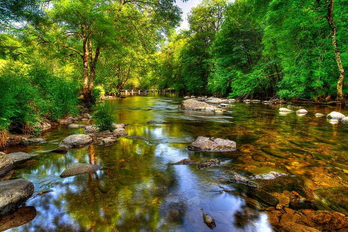 River flowing through a forest in Exmoor, England