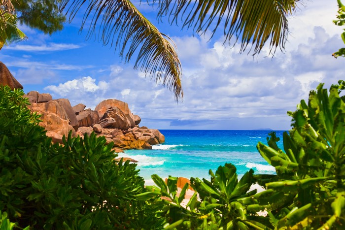 Tropical beach with palm trees and granite rocks