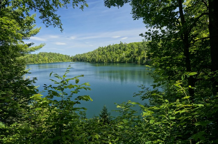 Lake and forest in Gatineau Park, Canada