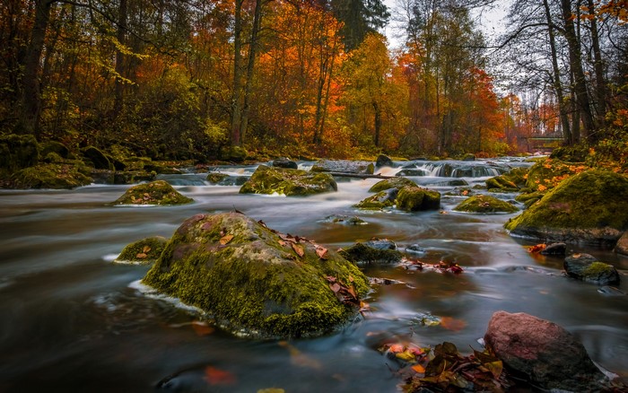 River flowing through autumn forest with mossy stones in Nukari, Finland