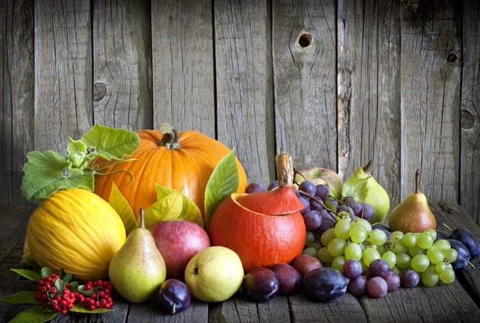 Autumn Harvest: Pumpkins, Grapes, Pears, Plums, Apples, and Melons