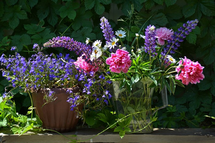 Bouquet of Peonies, Lupinus, Campanula, and Daisies in a Vase