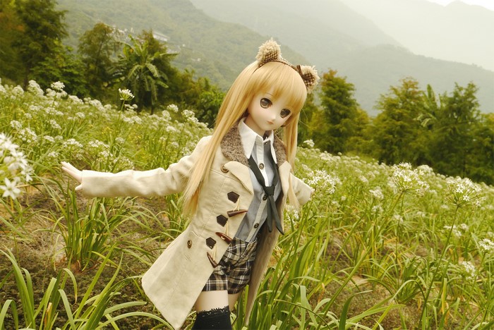 Doll with blonde hair in a field of flowers