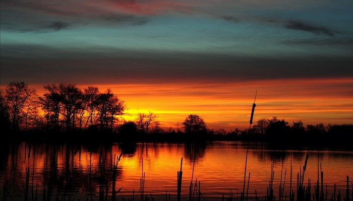 Sunset over a lake with trees and reeds