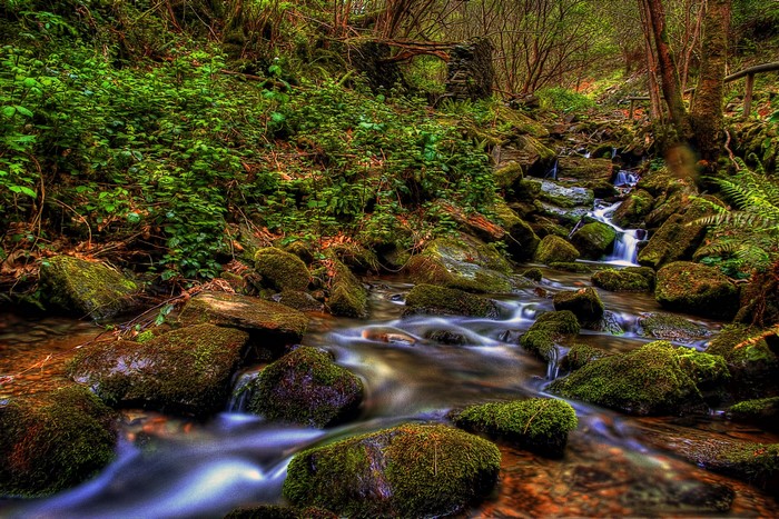 Mossy rocks in a stream in Taramundi, Spain