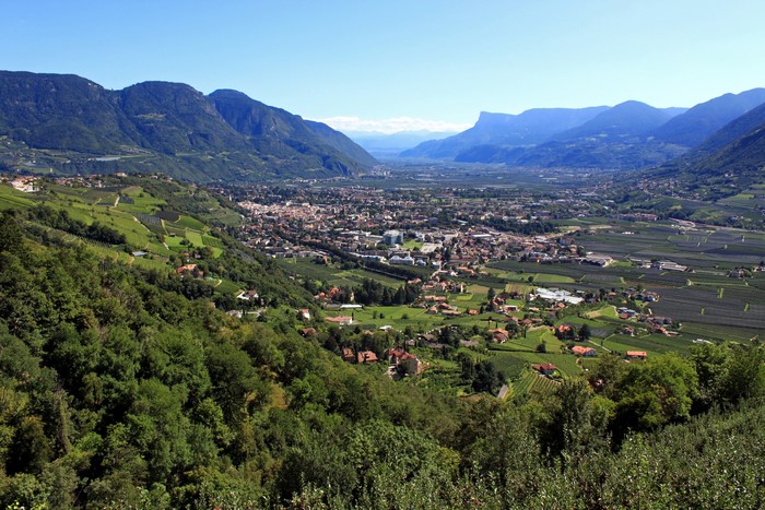 Valley town with vineyards and mountains in Trentino-Alto Adige, Italy