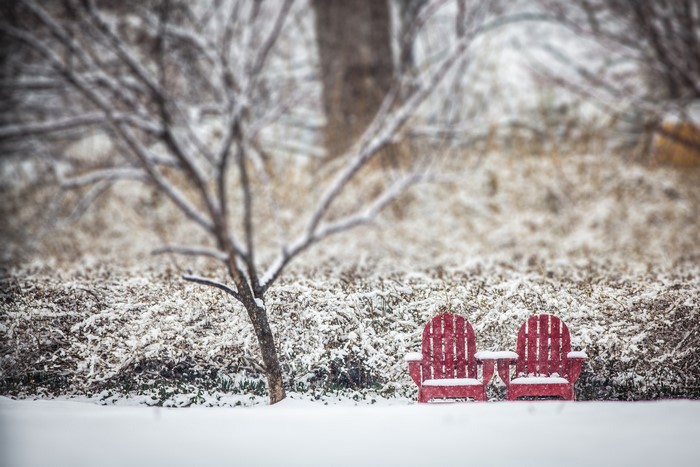 Two red Adirondack chairs in the snow