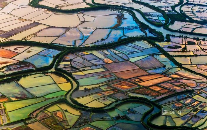 Aerial view of rice fields and rivers in Indonesia