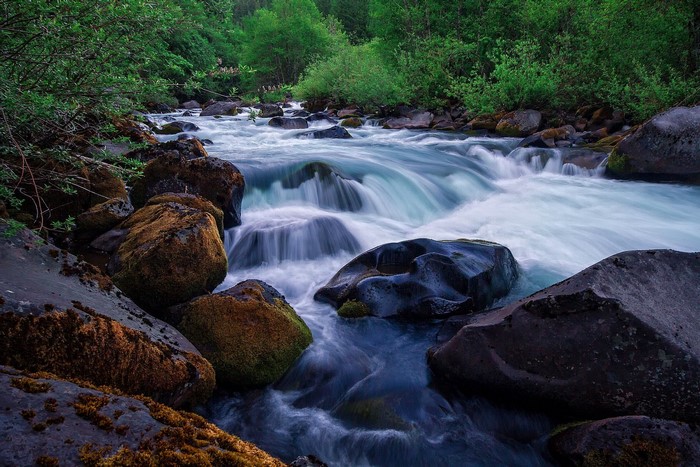 River flowing over rocks in a forest
