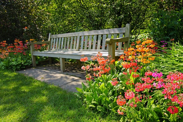A wooden bench in a garden with colorful flowers