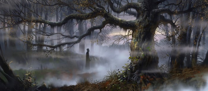 A lone figure stands in a foggy, ancient forest