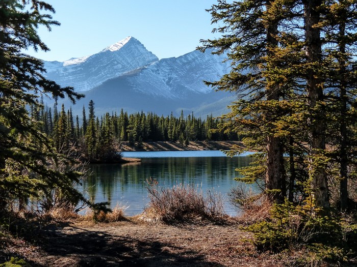 Snow-capped mountains behind a forest and lake