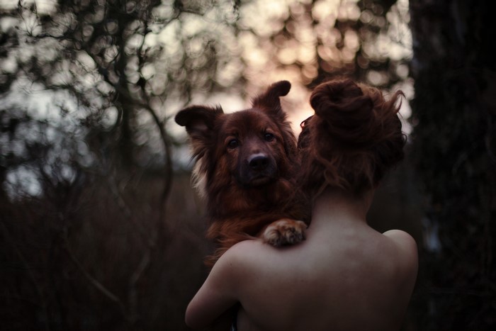 Brown dog on a woman's shoulder