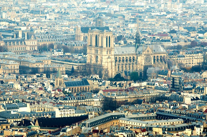 Notre Dame Cathedral and Paris cityscape