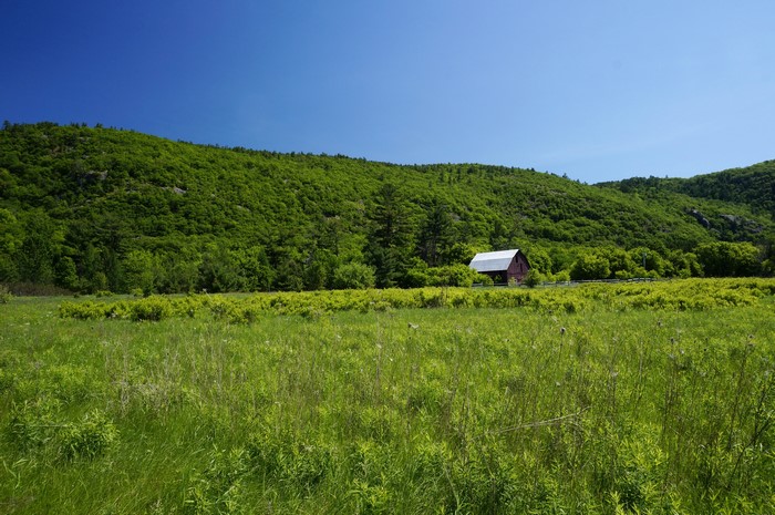 Red barn in a green field with a forested hill