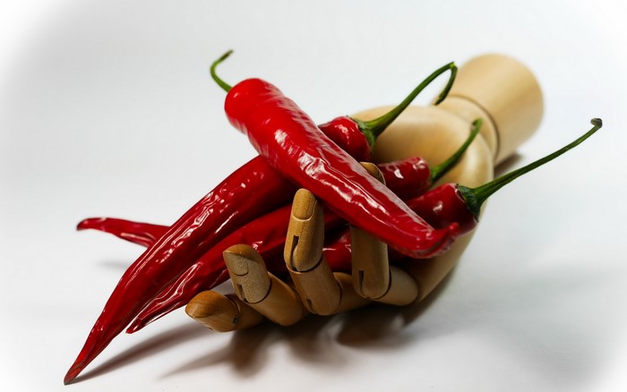 Red chili peppers held by a wooden mannequin hand
