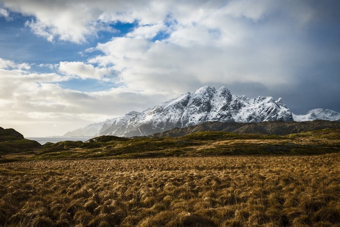 Snow-capped mountains over a grassy field and ocean