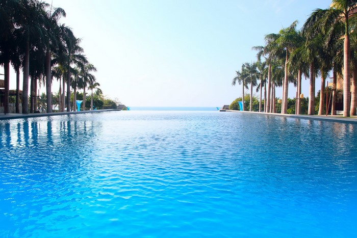 Infinity pool with palm trees and ocean view
