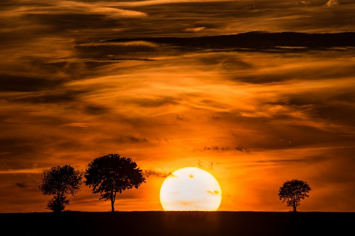 Sunset with silhouetted trees on a hill
