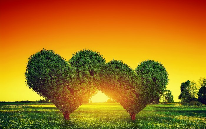 Heart-shaped trees at sunset