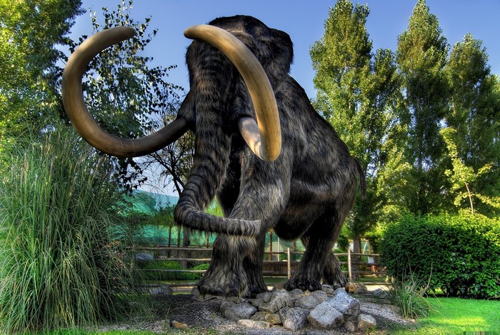 Mammoth statue in a park