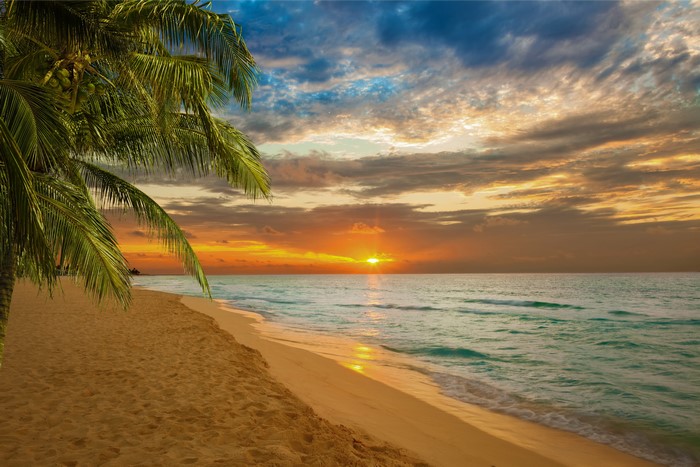 4K Sunset Over Tropical Beach with Palm Trees