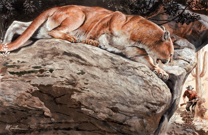 Mountain lion on a rock facing a cowboy with a rifle