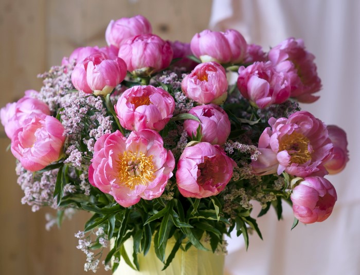 A bouquet of pink peonies and baby's breath