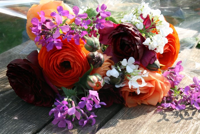 Bouquet of Ranunculus flowers