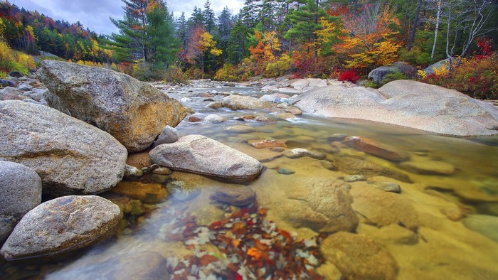 Autumn forest river with stones