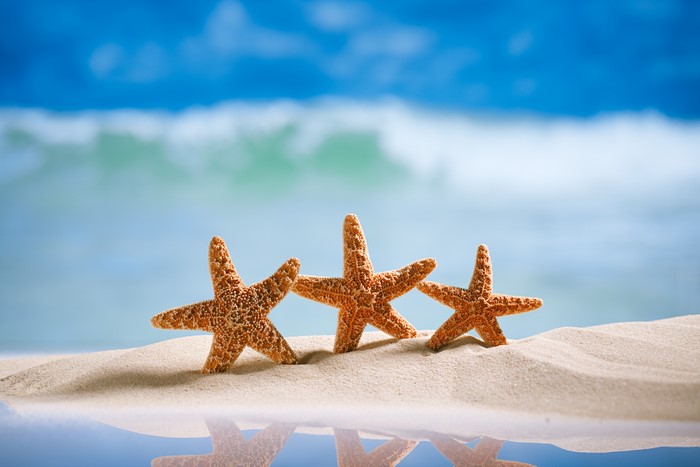 Three Starfish on a Sandy Beach