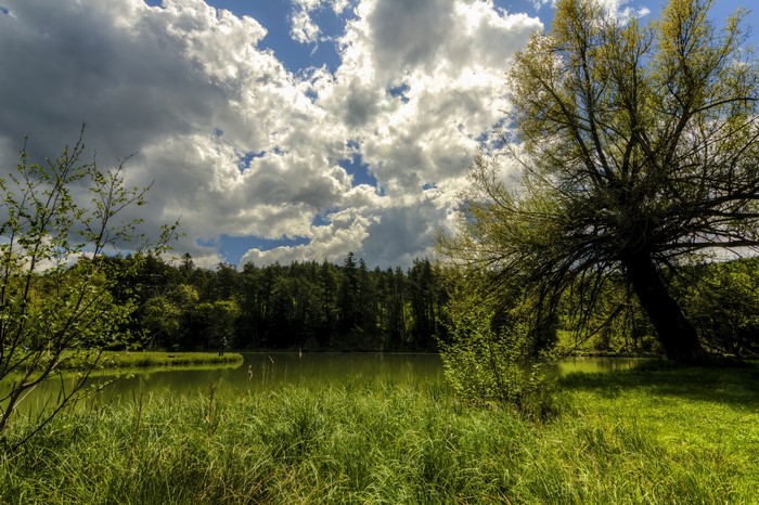Summer lake with trees and clouds in Thorenc, France