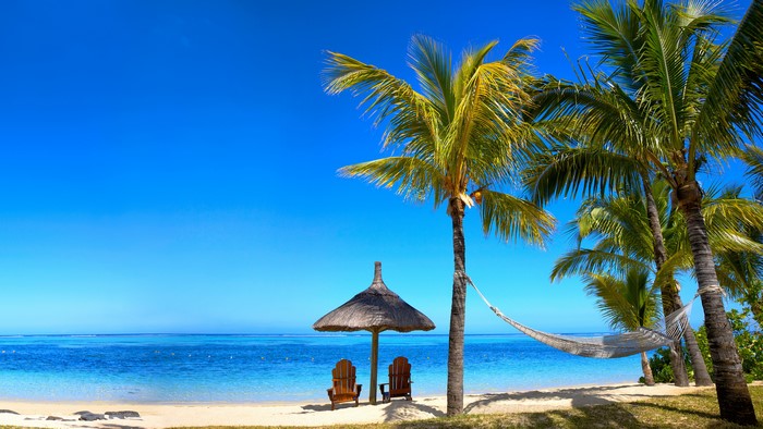 Beach with palm trees, umbrella, and chairs