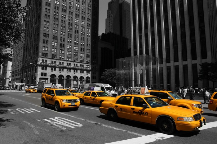 Yellow Taxis on Fifth Avenue, New York City