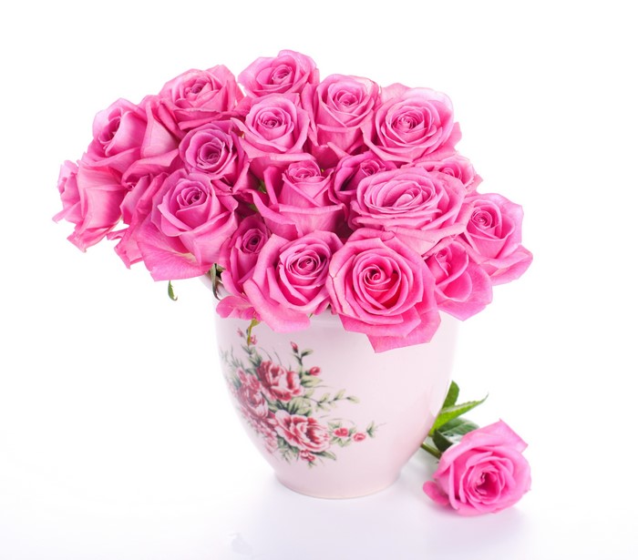 Pink roses in a floral vase