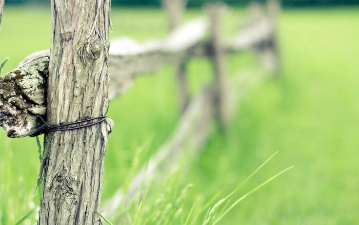 Wooden fence post with barbed wire in green grass