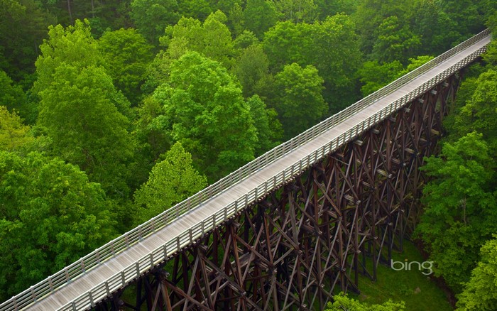 Virginia Creeper Trail Trestle Bridge in Forest