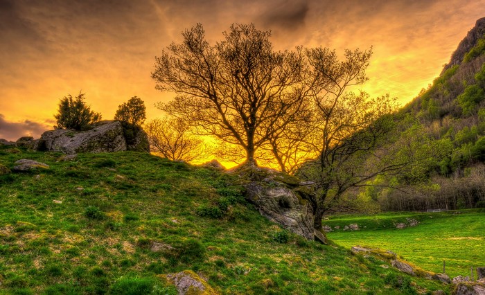 Sunset over a grassy mountain landscape with trees