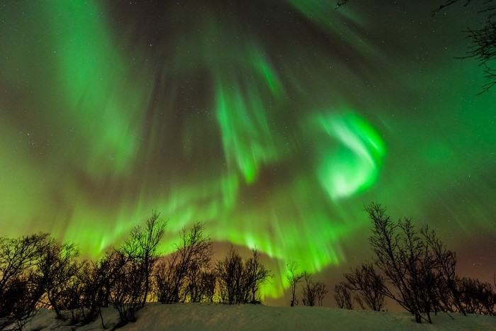Aurora Borealis over snow-covered ground with trees