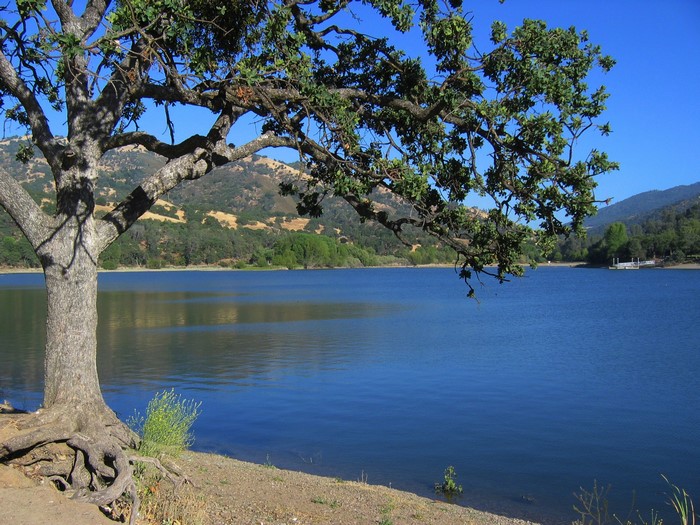 Lake and Mountains in California