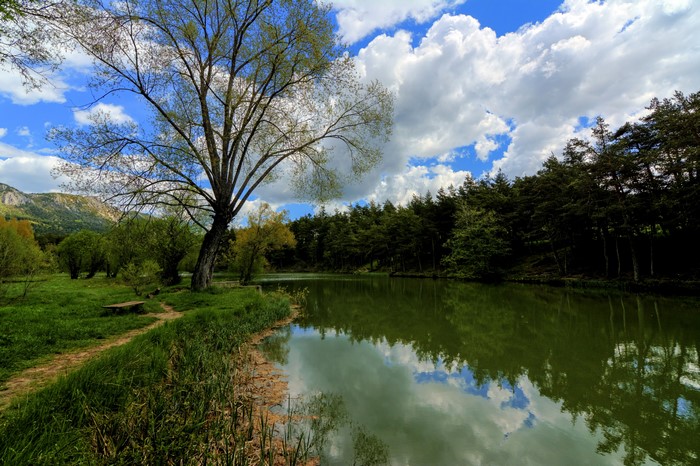Lake and forest in Thorenc, France