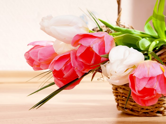 Pink and white tulips in a basket