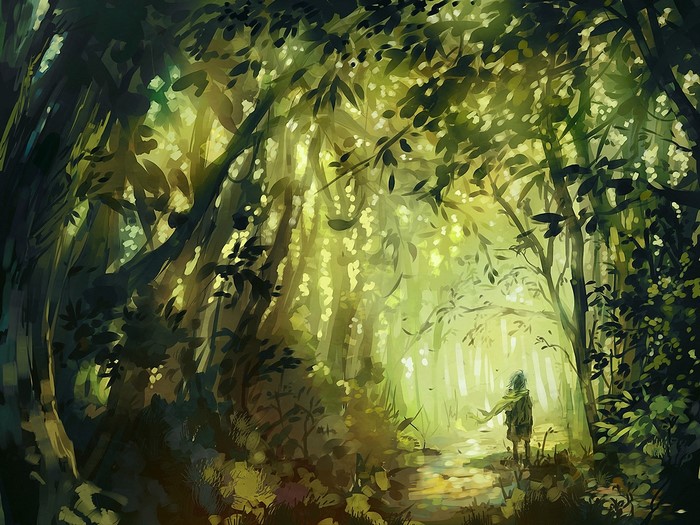Person walking on a forest trail with sunlight filtering through trees