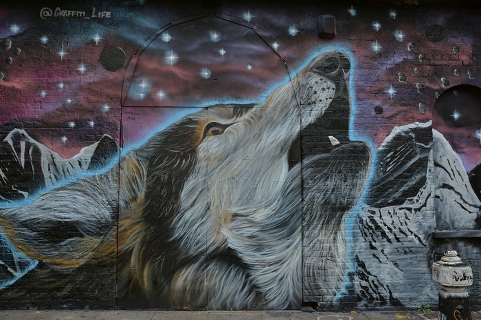Graffiti of a wolf howling at the night sky