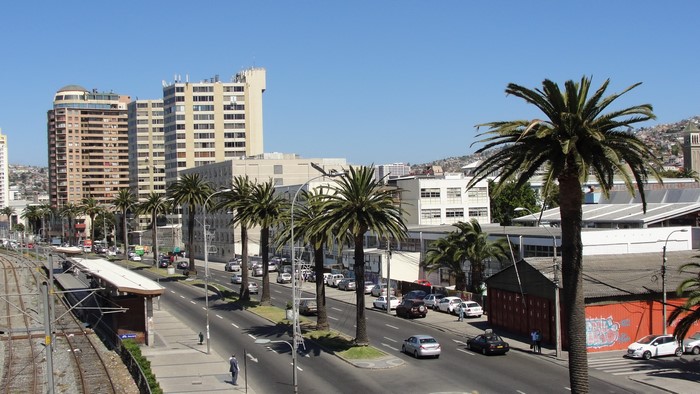 Street view of Valparaiso, Chile with palm trees and buildings
