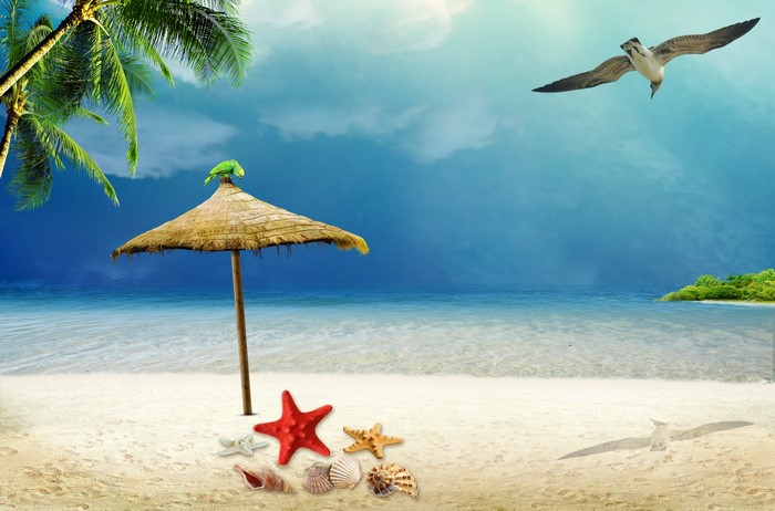 Tropical beach with umbrella, starfish, shells, and a seagull