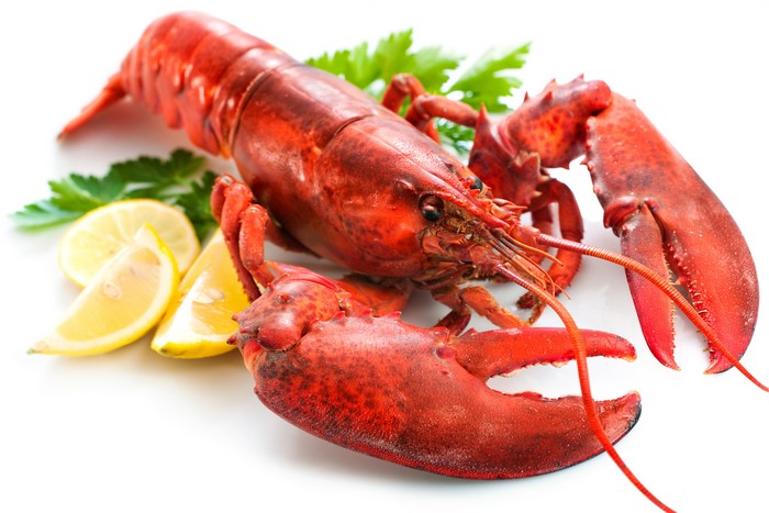 4K Lobster with Lemons and Parsley