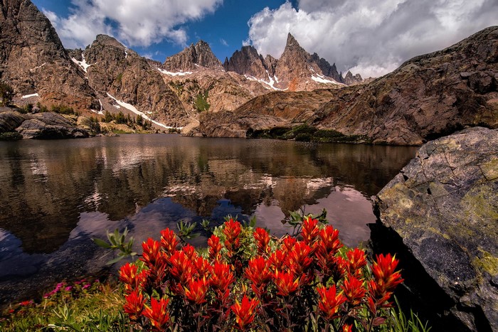 Indian Paintbrush flowers by a mountain lake in the Sierra Nevada