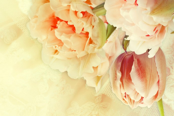 4K Tulips Closeup